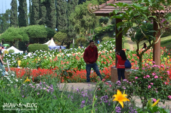 Taman Bunga Selekta : Ajang Narsis